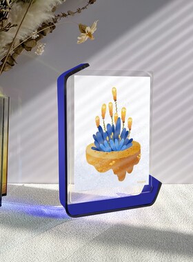 彩色亚克力相框透明双面展示画框7寸A5长方形DIY定制照片裱装框架