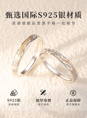 法国GVSEDUN丁达尔纯银情