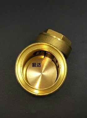 PPR止回阀单向阀卧式止回阀2025324050633铜逆止单向阀4分6分1寸