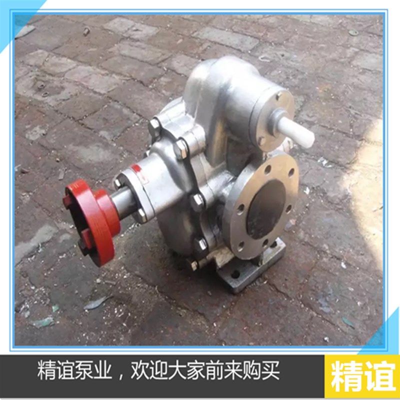 304材质不锈钢齿轮泵KCB-483不锈钢齿轮油泵自吸泵食品泵抽油泵头,淘宝优惠券,粉丝福利购,淘宝优惠卷