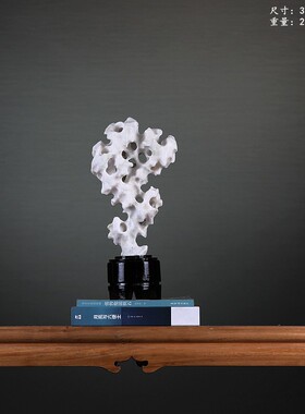 白色太湖石天然原石奇石观赏石灵A璧石磬石摆件中式案头文房装饰