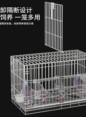 鸽子笼大空间繁殖笼鸟笼鸽子笼子不锈钢色大号加密配对家用养殖笼