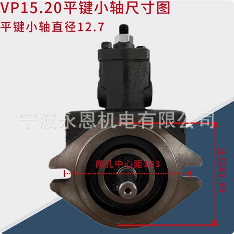 低压泵VP油变量叶片泵润滑大轴19花键VP15/VP420/VP3KNZ0/VP0叶片,淘宝优惠券,粉丝福利购,淘宝优惠卷