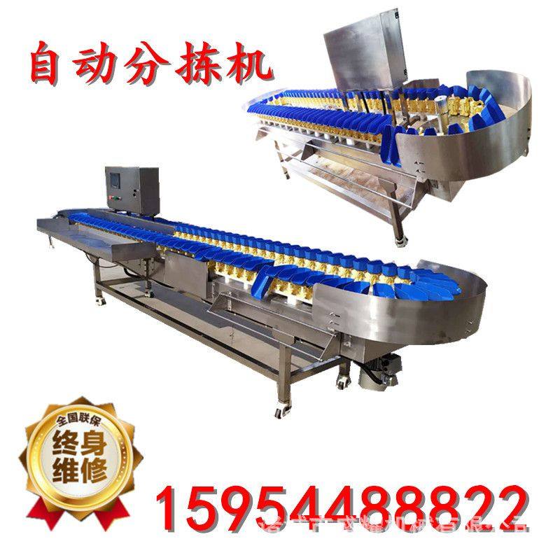 刀鱼段重量分拣机 鲅鱼拨杆式重量分选机 生蚝多级重量分级,淘宝优惠券,粉丝福利购,淘宝优惠卷