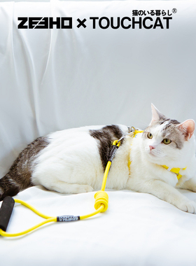 touchcat它它猫咪牵引绳防挣脱touchdog遛溜幼猫链子外出专用神器