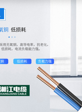 湘江电线BVVB2芯1.0/1.5/2.5/4/6平方护套线家用双铜芯明装平行线