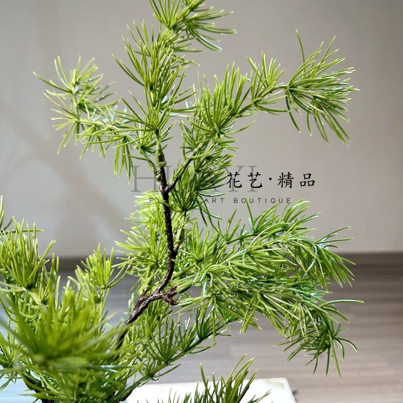 大青松树枝仿真松针龙柏松花艺造景圣诞装置素材冬青果发财果插花,淘宝优惠券,粉丝福利购,淘宝优惠卷