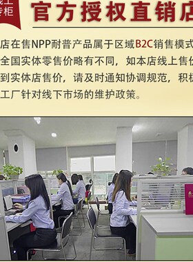 NPP耐普蓄电池12伏NPG12V65A24a38ah17a100ah200安太阳能胶体电瓶