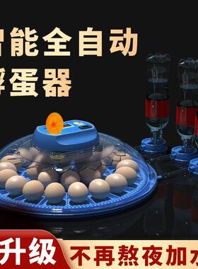 智能全自动小型家用孵化箱孵受精种蛋鹦鹉小鸡孵化机芦丁鸡孵化器