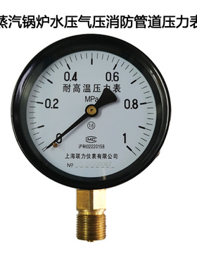 热卖上海联力yth100耐高温仪表YTH100 1.6 1 2.5MPA蒸汽锅炉压力
