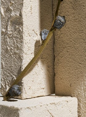 白色不规则几何体拍照道具陈列摆C件高级感小众静物摄影装饰背景