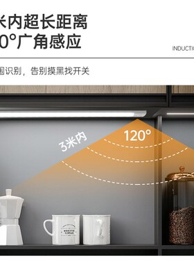 曲江人体感应灯 三色变光磁吸充电式灯带led衣柜橱柜酒柜氛围灯