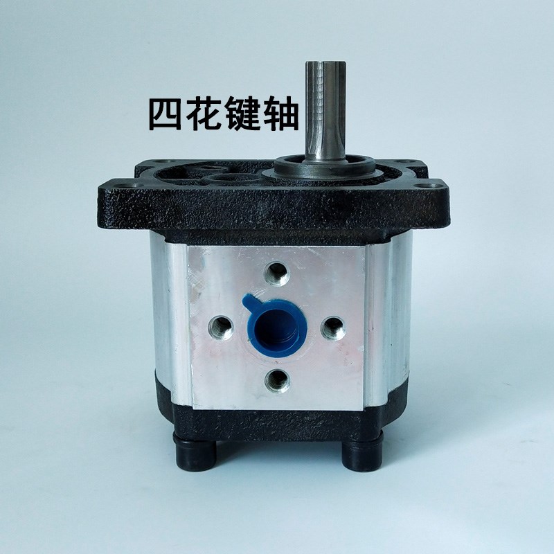 德尔特液压油泵CBN-F310 CBT-F306 F306 E325 E316小型泵 泵头 - 图1