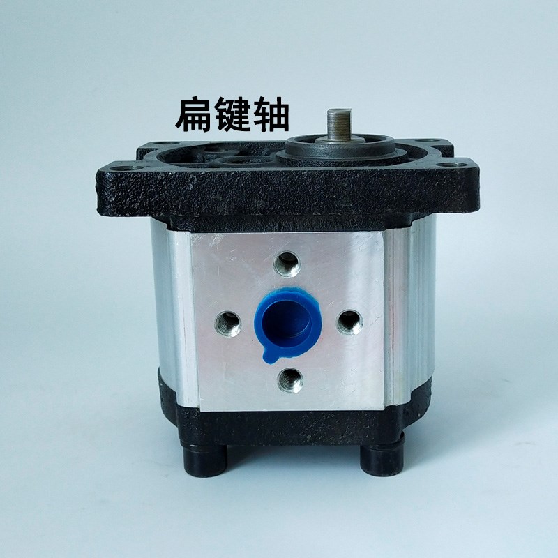 德尔特液压油泵CBN-F310 CBT-F306 F306 E325 E316小型泵 泵头 - 图2