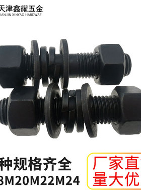 10.9级高强度黑色双头螺栓套装M18M20M22M24*90-300mm螺柱螺丝杆