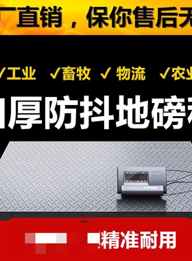 耀华地磅小型5吨3t2吨10t工业地磅称秤猪牛小地磅电子地磅秤1-3吨