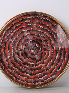 轻奢家居装饰样板l间装饰盘茶几摆件孔雀羽毛金属化妆收纳托盘