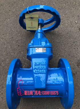 天津塘沽塘阀法兰暗杆软密封闸阀Z45X-16Q瓦特斯一阀北京冠龙100