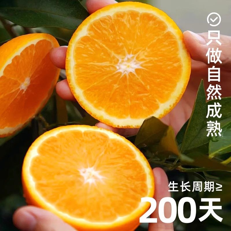 正宗赣南脐橙新鲜橙子当季水果手剥果冻橙子冰糖甜橙大果整箱包邮,淘宝优惠券,粉丝福利购,淘宝优惠卷