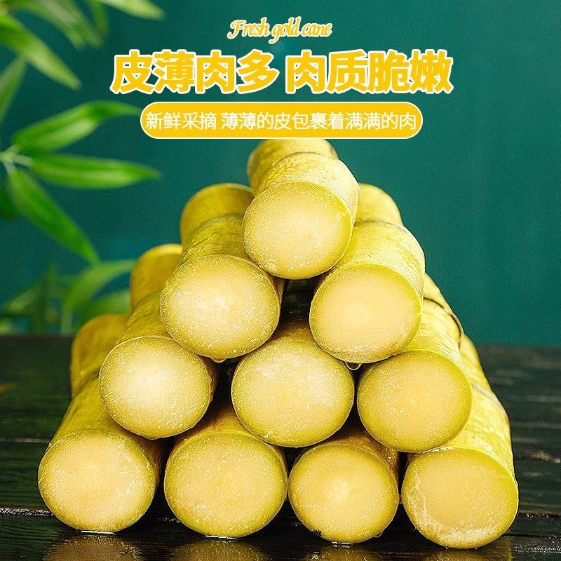 正宗黄金甘蔗黄皮脆甜新鲜水果9斤现砍甜杆甘蔗孕妇多汁包邮批发,淘宝优惠券,粉丝福利购,淘宝优惠卷