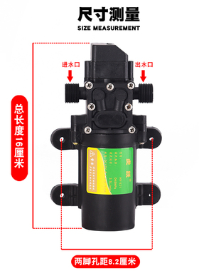 12V伏双螺口电动喷雾器水泵电机高压打药机配件大功率自吸水泵