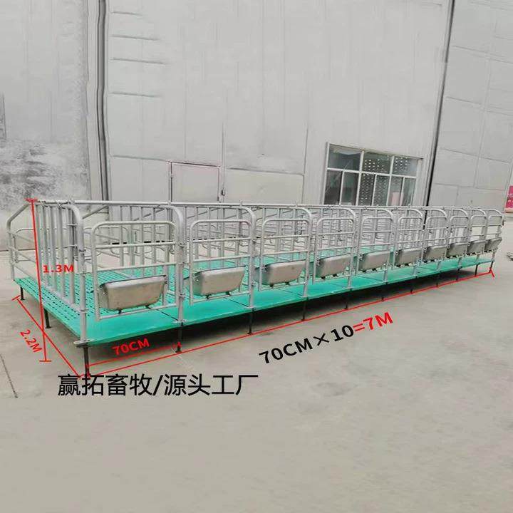 厂家母猪复合定位栏热镀锌钢管母猪产床限位栏养猪场养猪设备,淘宝优惠券,粉丝福利购,淘宝优惠卷