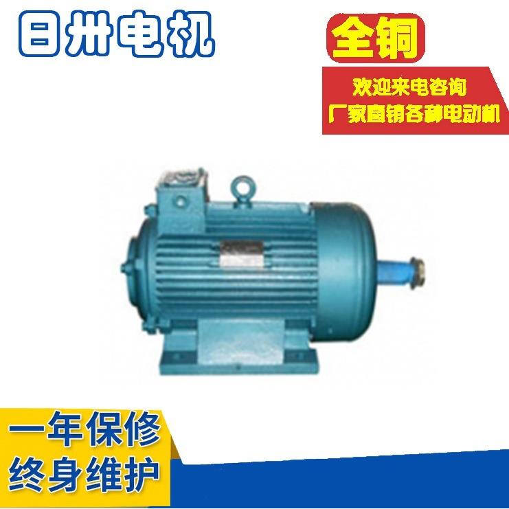 起重及冶金用电机YZR132M1-6YZB132M1-6YZP132M1-6YTSZ132M-6 - 图2