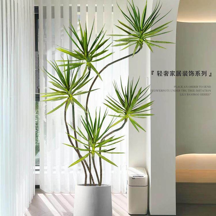 大型玄摆关电视柜地摆件落龙舌兰轻绿植植物10012497盆栽客奢厅装,淘宝优惠券,粉丝福利购,淘宝优惠卷