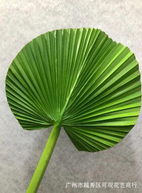可观PU仿真花圆形蒲葵芭蕉叶棕榈叶扇叶绿色大叶时尚家装仿真植物