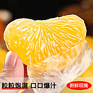 4.5斤净重！正宗赣南桔柚阳光一号彩箱发货