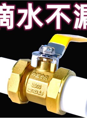 德国进口全铜PPR双活接铜球阀热熔管阀门20 25 32 4分 6分1寸双头