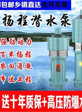 德国进口高扬程潜水泵农用灌溉深井泵小老鼠多级泵喷泉泵大流量抽
