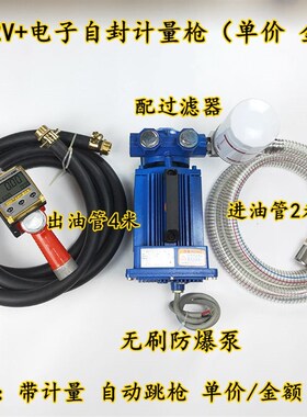无刷汽油加油机静音汽油泵柴油自吸12V24V220V组合自封计量枪