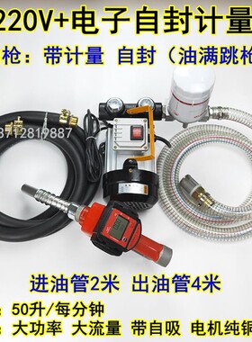 电动抽油泵12V24V220V家用车载加油机柴油自吸泵带单价计量加油枪