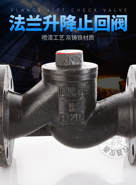 直销H41T泵房消防蒸汽管道铸铁卧式止逆单向阀法兰升降式止回阀