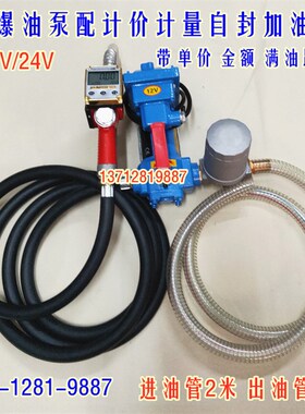 防爆汽油泵12V24V220V直流电动抽油泵总成柴油自吸泵带枪管加油机