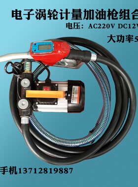 大流量 220V12V24V电子自封计量组合加油泵电动抽油泵柴油加油机