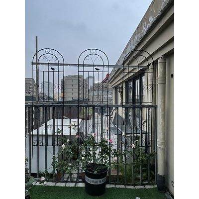 攀爬花架铁艺花盆庭院网格月季爬藤铁线莲月季支架子花园屏风户外,淘宝优惠券,粉丝福利购,淘宝优惠卷