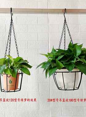 铁艺垂吊挂篮花盆架悬挂式吊篮吊兰盆花架阳台R吊盆架子简易挂架