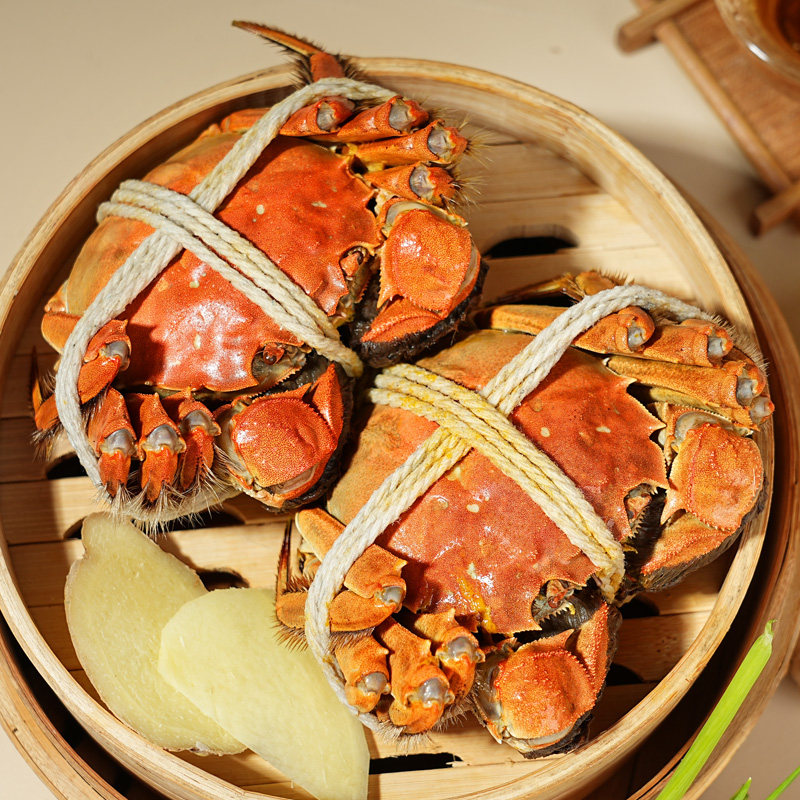 【特大活蟹】10只现货大闸蟹鲜活螃蟹礼盒官方旗舰全母蟹礼盒河蟹,淘宝优惠券,粉丝福利购,淘宝优惠卷