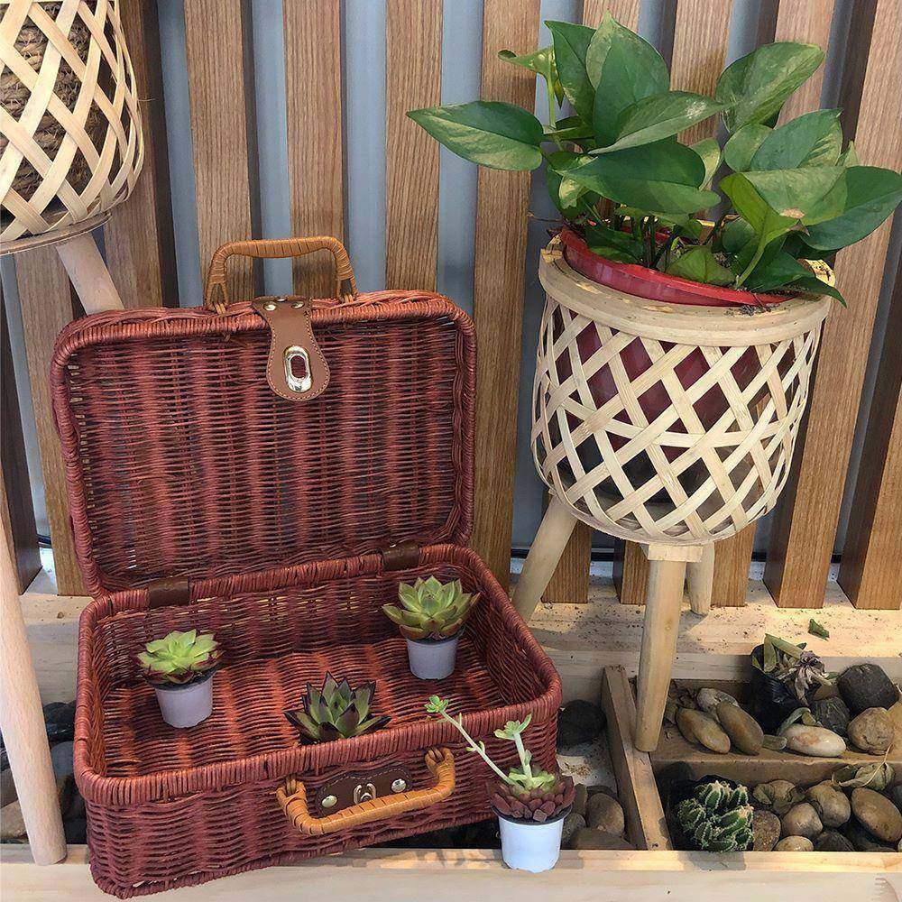 天然环保藤编收纳箱藤条藤手工复古收纳箱储物收纳道具箱野餐伴手,淘宝优惠券,粉丝福利购,淘宝优惠卷