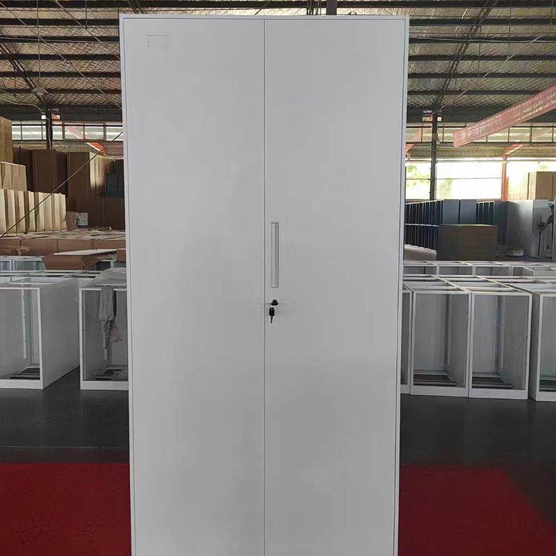 通玻对开文件柜办公室a4整理收纳柜财务凭证柜带锁铁皮更衣柜天津,淘宝优惠券,粉丝福利购,淘宝优惠卷