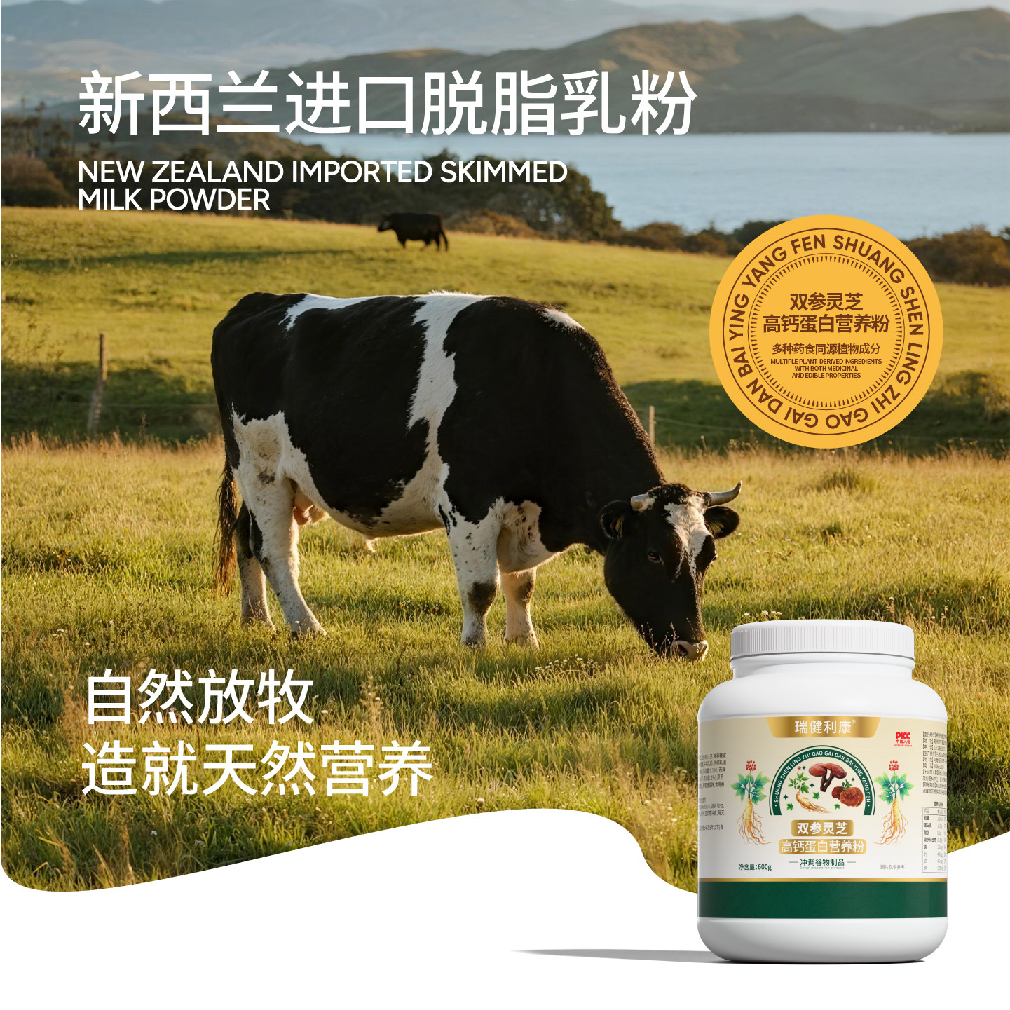 瑞健利康双参灵芝高钙蛋白粉中老年人补充营养提高免疫脱脂乳粉