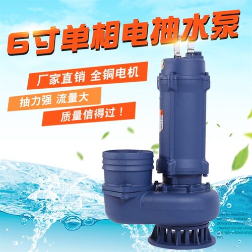 人民水泵潜水泵220v3寸6寸大流量大功率污水泵抽水潜水泵380v三相 - 图2
