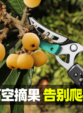 摘水果神器枇杷杨梅龙眼荔枝摘果器摘果伸缩杆采摘器高枝剪修枝剪
