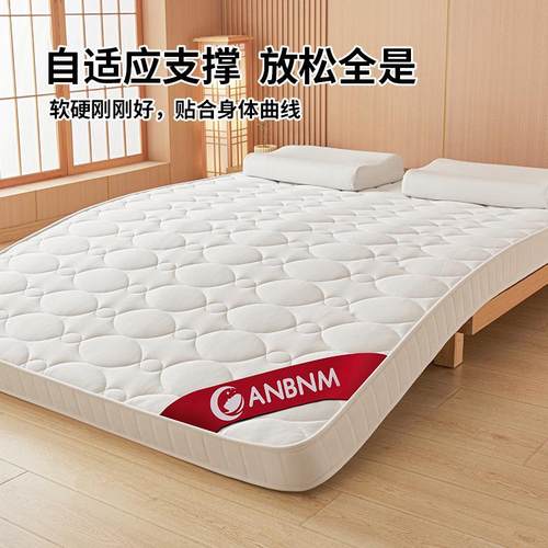 床垫软垫家用卧室床褥垫180x200学生宿舍单人租房专用榻榻米垫子 - 图1