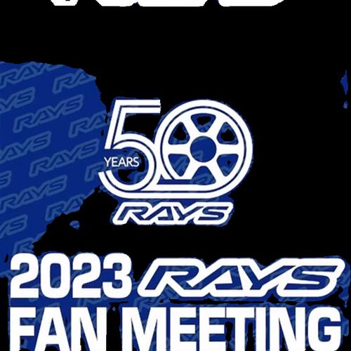 RAYS折叠收j纳箱 汽车载生活杂物行李箱内饰储物盒 - 图3