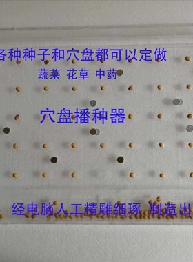 播种神器蔬菜新款穴盘播种器播种机育苗器点子器手动全套