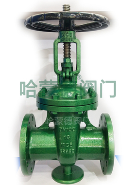 衬四氟铸钢闸阀全衬氟法兰闸阀耐酸碱防腐蚀阀门Z41F6-16CDN25 32