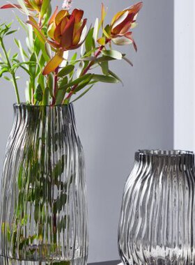 轻奢北欧居家创意玻璃花瓶透明水养鲜花玫瑰百合客厅装饰品插花瓶